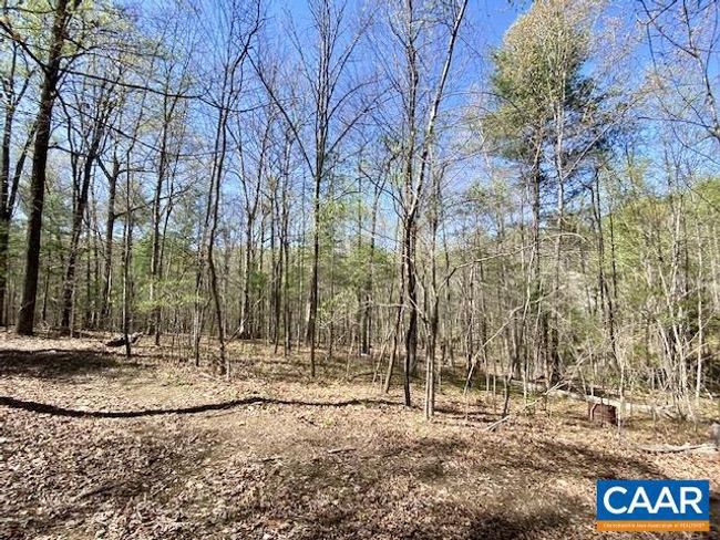 2224 Davis Shop Rd, House other with 3 bedrooms, 2 bathrooms and null parking in EARLYSVILLE VA | Image 26