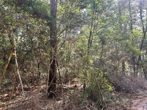 Lot 28 Sycamore Ln, Plantersville, TX, 77363 | Card Image