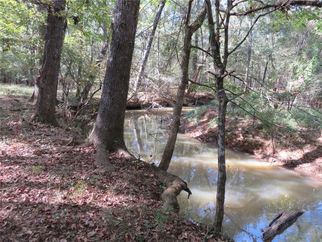 9795 S Us Highway 59, Home with 0 bedrooms, 0 bathrooms and null parking in Nacogdoches TX | Image 14