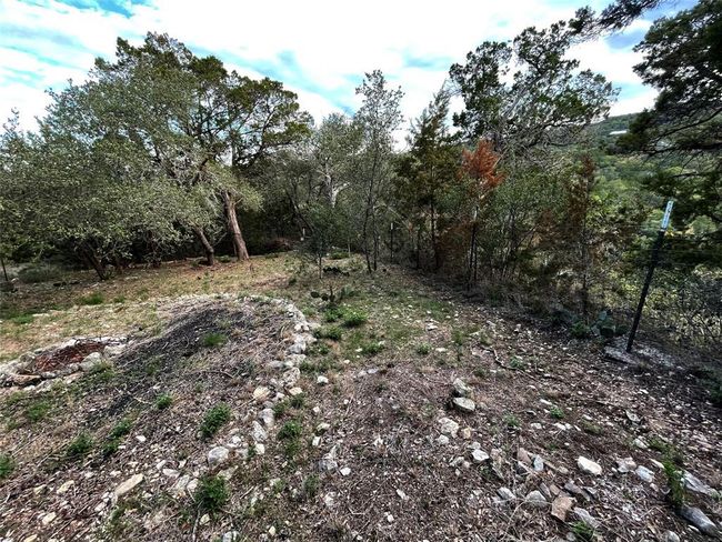 View of local wilderness | Image 16