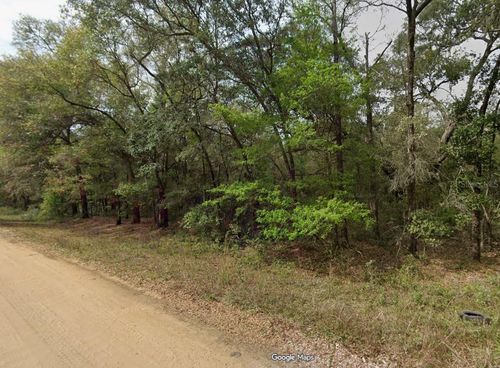 Lot 7, Unit 7, Blk 42 Buckles Avenue, Interlachen, FL, 32148 | Card Image