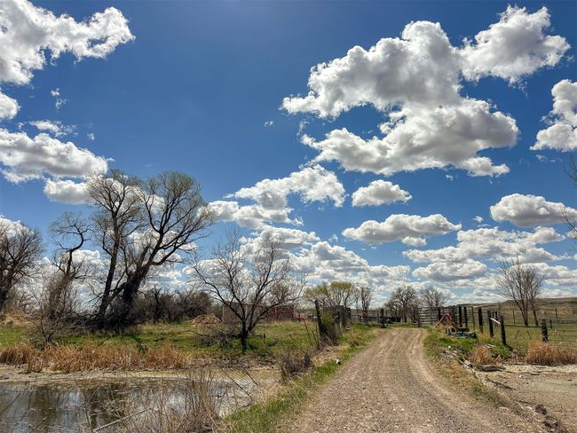Driveway | Image 10