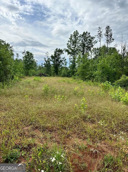 00 Highway 19, Dublin, GA, 31021 | Card Image