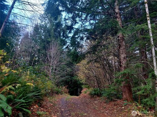 0 Lot 9 Old Barn Rd, Randle, WA, 98377 | Card Image