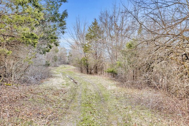 0 Fishing Ford Rd, Home with 0 bedrooms, 0 bathrooms and null parking in Belfast TN | Image 46