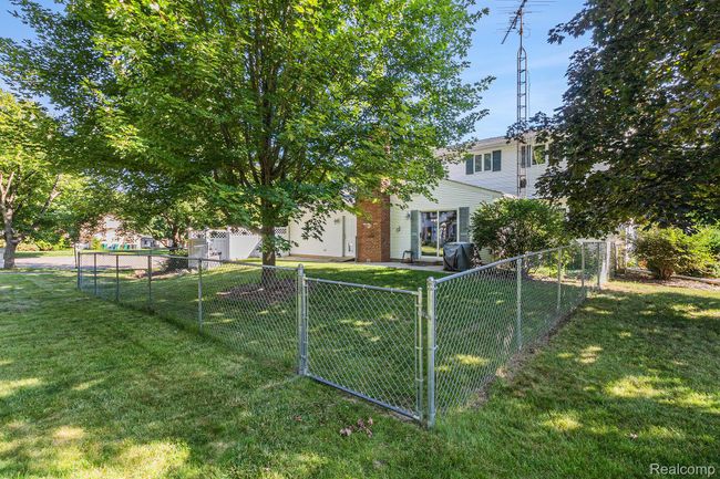 011_file_985.jpg | Image 25