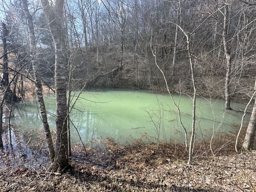 0 Little Creek Rd, Pleasant Shade, TN, 37145 | Card Image