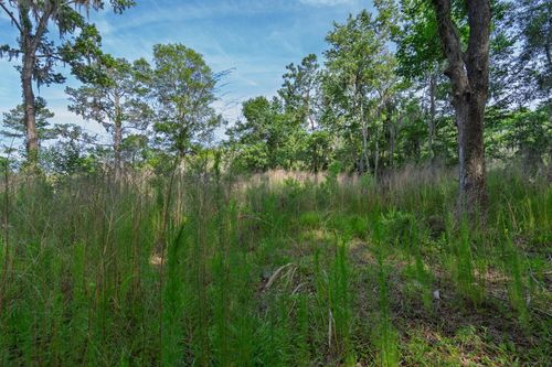 8326 Shell House Rd, Edisto Island, SC, 29438-6865 | Card Image