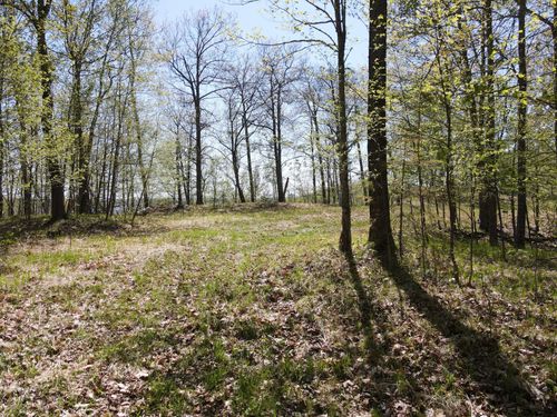 66535 County Road 533, Effie, MN, 56639-6119 | Card Image