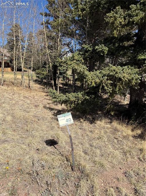 405 Meadow Park Dr, Divide, CO, 80814-9227 | Card Image