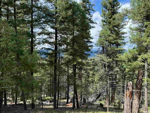 123 Valley Rd, Angel Fire, NM, 87710 | Card Image