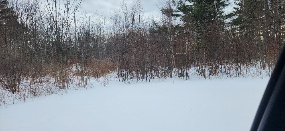 Land in Lagrange 4