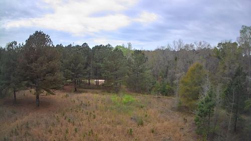 Tbd Salcro Lane Interior Parcel Highway, Smoaks, SC, 29481 | Card Image