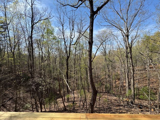 312 Mountain Dr, House other with 2 bedrooms, 2 bathrooms and null parking in Murphy NC | Image 6