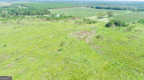 tract-2-0 Mims Rd, Byromville, GA, 31007 | Card Image