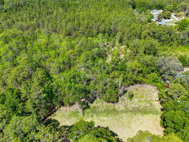 0 Carter Rd, Home with 0 bedrooms, 0 bathrooms and null parking in Saint Augustine FL | Image 6