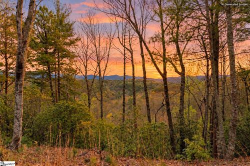 217 Buttercup Way, Sunset, SC, 29685 | Card Image