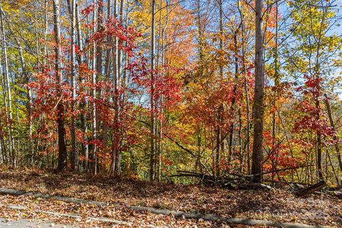 528 Park Way Ne, Lenoir, NC, 28645-8304 | Card Image