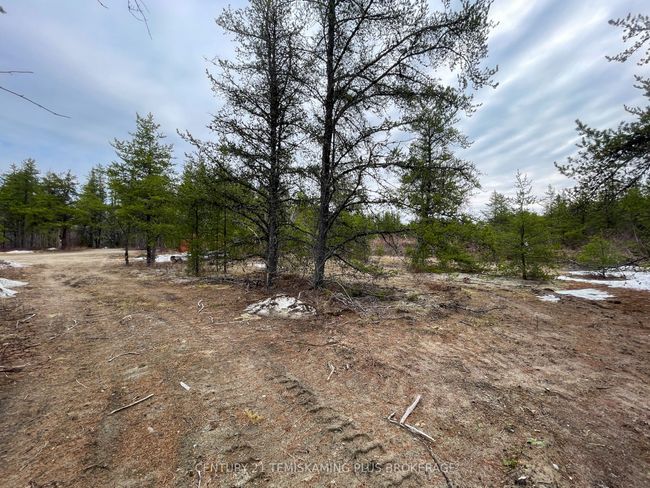 505540 Airport Rd, House other with 2 bedrooms, 1 bathrooms and 8 parking in Cobalt ON | Image 34