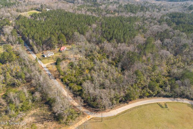 150 Pine Tree Drive-24 | Image 24