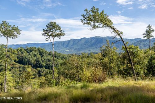 454 Mount John Loop, Townsend, TN, 37882-3027 | Card Image