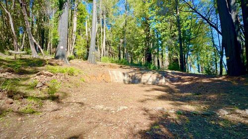 80 Conifer Ln, Santa Cruz, CA, 95060-9664 | Card Image