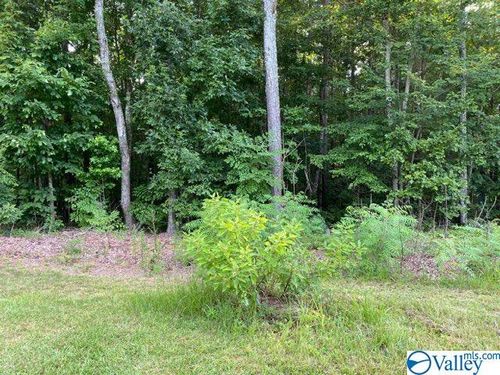 Lot 16 Sweetwater Lane, Rainbow City, AL, 35906 | Card Image