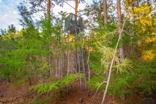 00 Mistletoe Rd, Home with 0 bedrooms, 0 bathrooms and null parking in Gilmer TX | Image 12