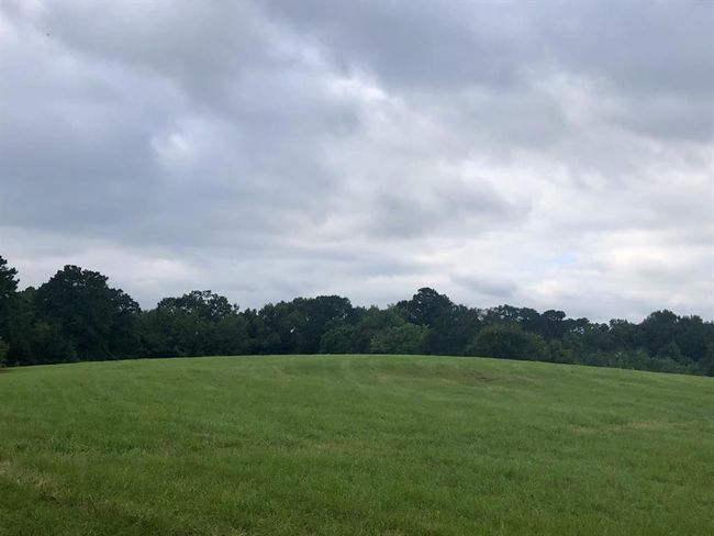 2290 Interstate 45 S, Home with 3 bedrooms, 2 bathrooms and 2 parking in New Waverly TX | Image 22