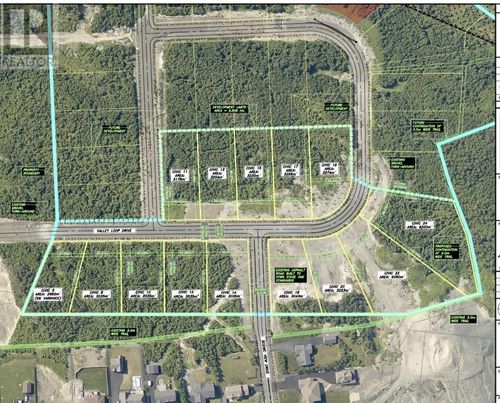 20 Valley Loop Dr, Torbay, NL, A1K | Card Image