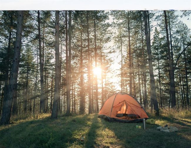 Enjoy camping close by at the Sam Houston National Forest!*This picture only illustrates the activities you can enjoy, but is not representative of the actual location. | Image 10