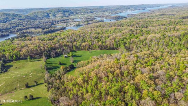 160 Lost Creek Rd, Home with 0 bedrooms, 0 bathrooms and null parking in Sharps Chapel TN | Image 11