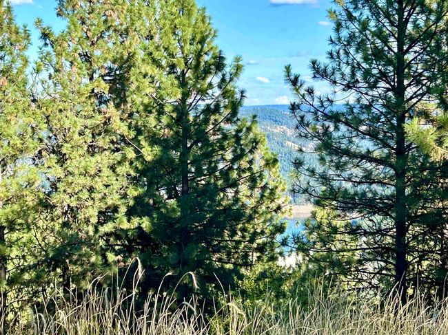 1510 Summitview Dr, House other with 2 bedrooms, 1 bathrooms and null parking in Orofino ID | Image 30