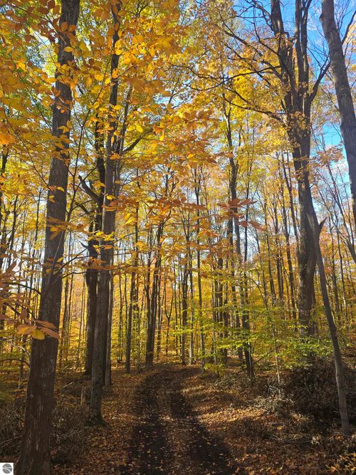 00 Stark Rd, Mancelona, MI, 49659 | Card Image