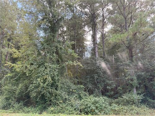 Lot 2 E Williams St, Autryville, NC, 28318 | Card Image