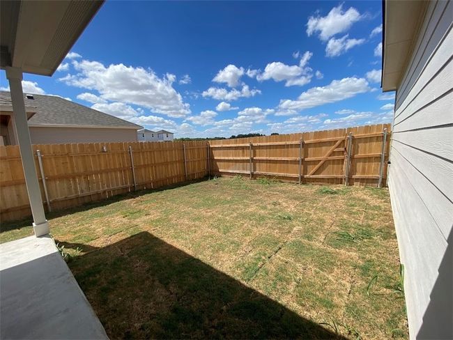 back yard | Image 15