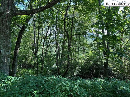TBD Camden Ln, Blowing Rock, NC, 28605 | Card Image