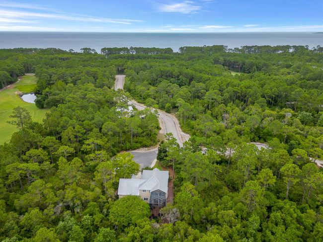 171 White Pelican Ct, House other with 3 bedrooms, 3 bathrooms and null parking in CARRABELLE FL | Image 38