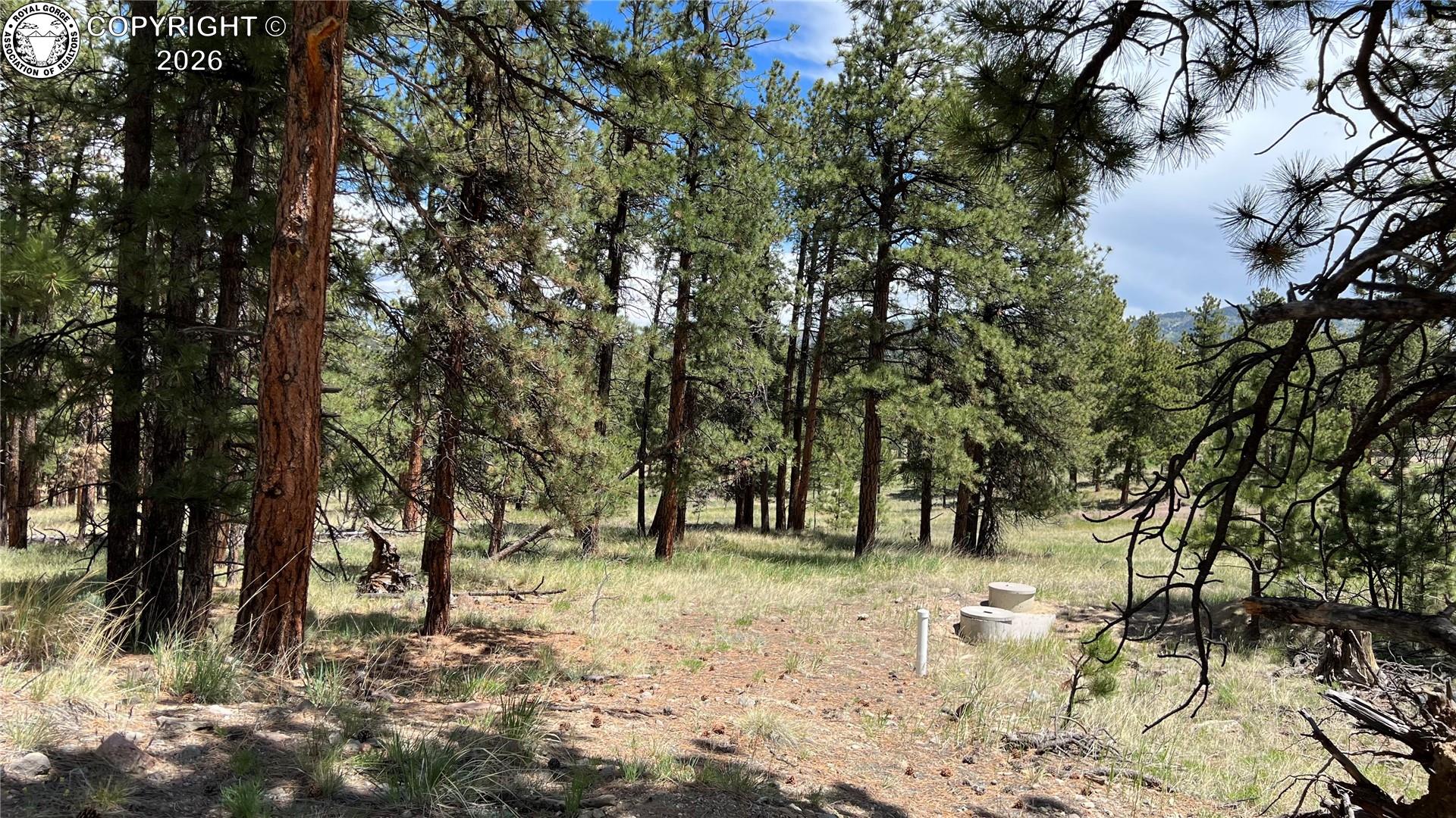 Land in Westcliffe 5