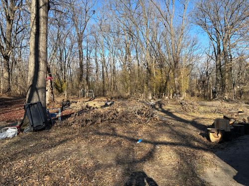 1406 Dial St, Benton, IL, 62812-2452 | Card Image