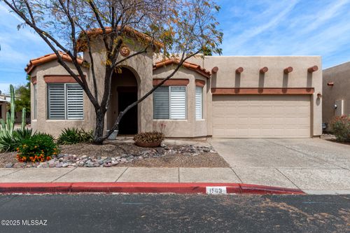 1503 E Painted Colt Loop, Tucson, AZ, 85719-1976 | Card Image