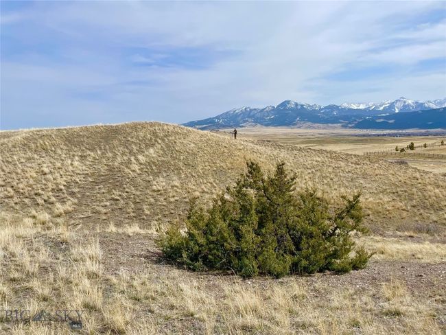 Rolling hills with Juniper bushes and Absoraka Mountain views | Image 28