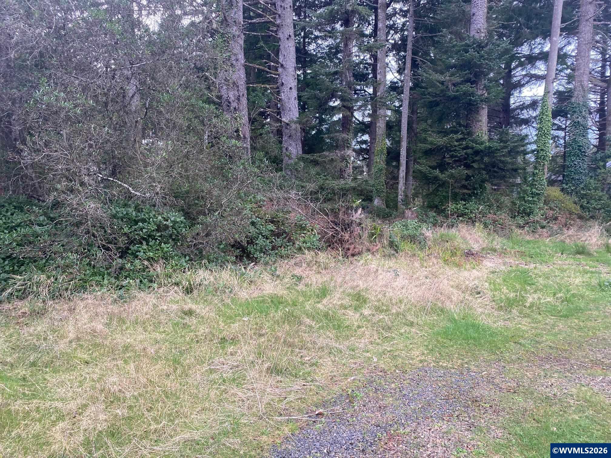 Land in Gleneden Beach 2