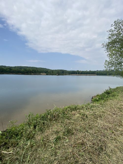 269 Hardin Bottom River Road, Clifton, TN, 38425 | Card Image