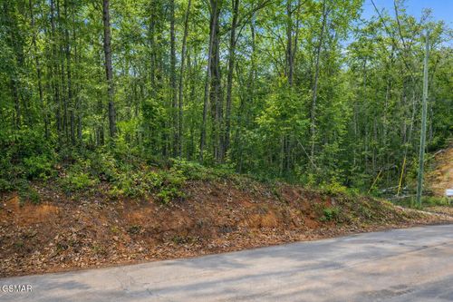 62 Pinnacle Vista Rd, Gatlinburg, TN, 37738 | Card Image
