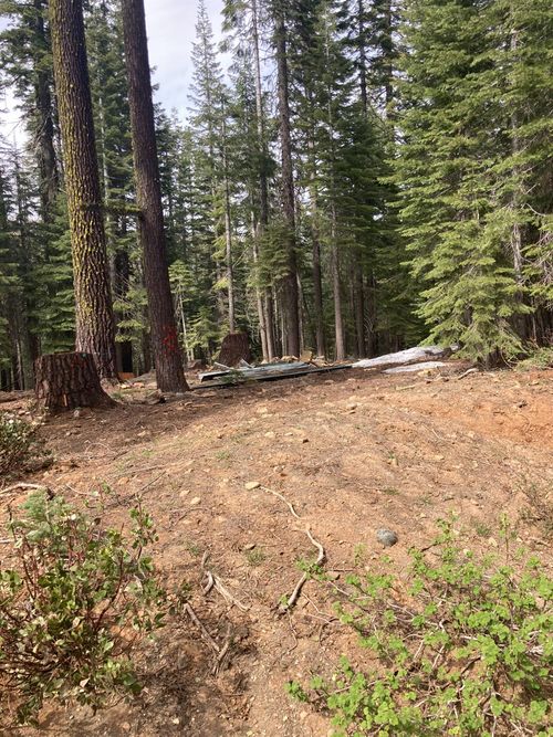 8896 Big Creek Rd, Quincy, CA, 95971 | Card Image