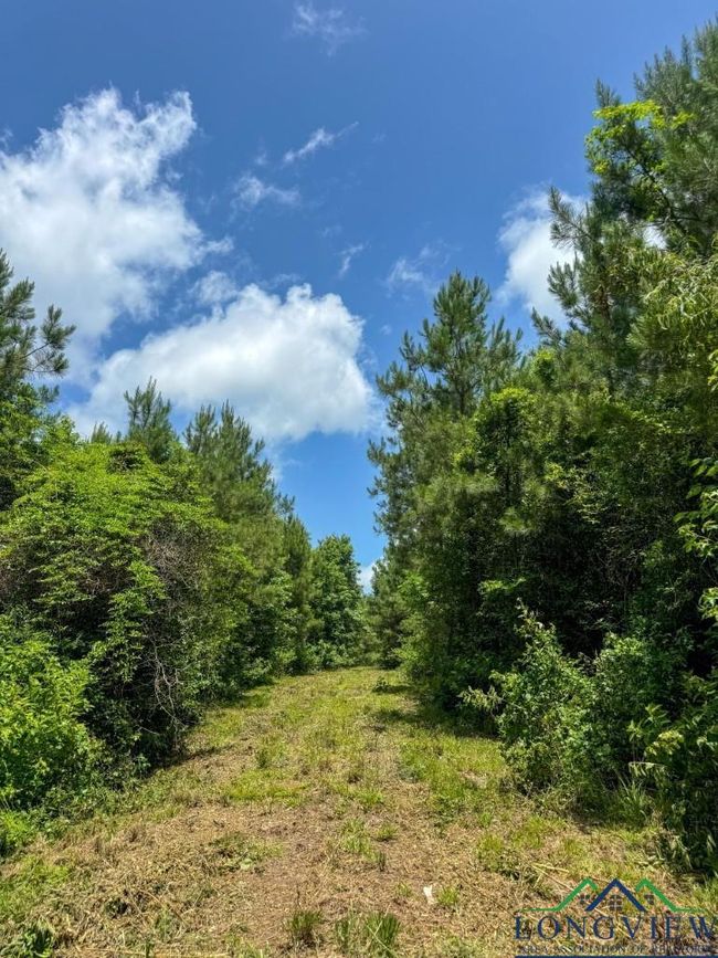 0000 Cr 1782, Home with 0 bedrooms, 0 bathrooms and null parking in Linden TX | Image 13