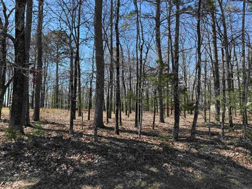 000 Eagle Ridge Trce, Fairfield Bay, AR, 72088 | Card Image