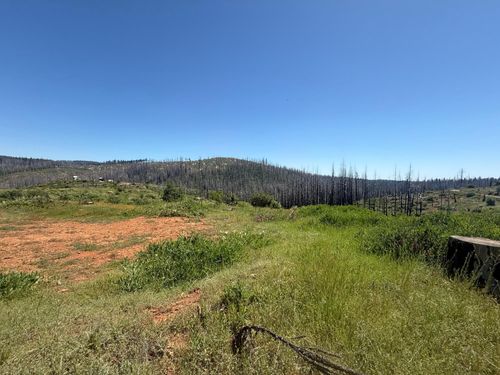 10340 Grizzly Flat Rd, Grizzly Flats, CA, 95636-9723 | Card Image
