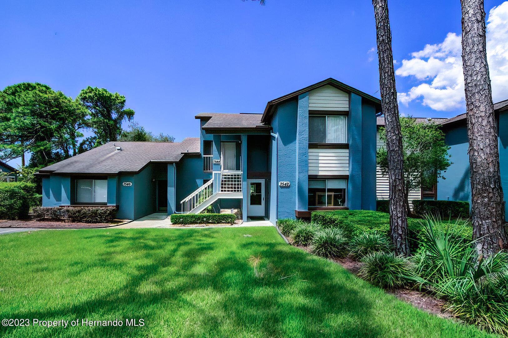 Street Andrews Blvd, Weeki Wachee, FL 34613 #1